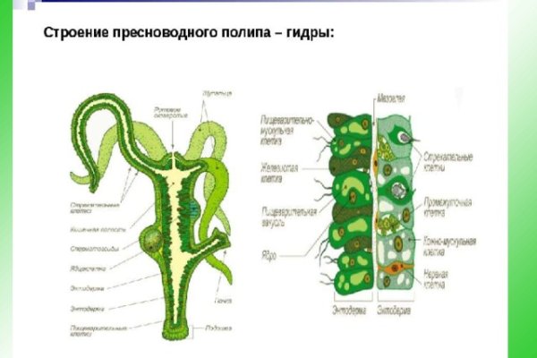 Как вернуть деньги с кракена